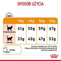 pasaras katems - Royal Canin Hair & Skin Care sausas maistas katėms 4 kg - 3 nuotrauka