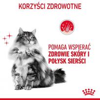 pasaras katems - Royal Canin Hair & Skin Care sausas maistas katėms 4 kg - 4 nuotrauka