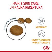 pasaras katems - Royal Canin Hair & Skin Care sausas maistas katėms 4 kg - 7 nuotrauka