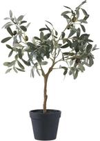 House Nordic Dirbtinis alyvmedis, žalias (Green), 61 cm