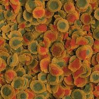 pasarai zuvims - TETRA TETRAPro Algae 10 L - 2 nuotrauka