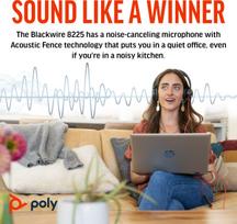 plantronics - HP Poly BW 8225 Stereo USB-C HS  USB-C/A | 8X223AA - 4 nuotrauka