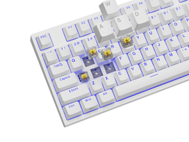 gateron - Genesis Thor 404 TKL Kailh Box Brown EN (Balta) - 3 nuotrauka