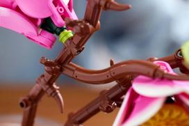 lego botanical - LEGO BOTANICALS Magnolia Branches 11510 - 9 nuotrauka
