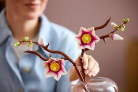 lego botanical - LEGO BOTANICALS Magnolia Branches 11510 - 12 nuotrauka