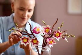lego botanical - LEGO BOTANICALS Magnolia Branches 11510 - 13 nuotrauka