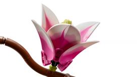 lego botanical - LEGO BOTANICALS Magnolia Branches 11510 - 16 nuotrauka