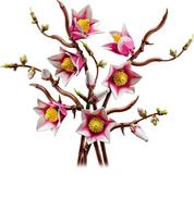 lego botanical - LEGO BOTANICALS Magnolia Branches 11510 - 20 nuotrauka