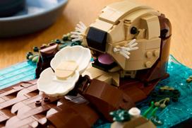 legajos - LEGO Ideas Plūduriuojančios jūrinės ūdros 21366 - 6 nuotrauka