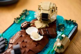 legajos - LEGO Ideas Plūduriuojančios jūrinės ūdros 21366 - 10 nuotrauka