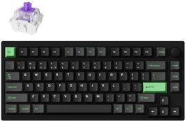 keyboard 75 - Keychron P1 HE Belaidė Mechaninė Klaviatūra Juoda (Black) - 1 nuotrauka