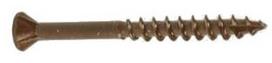 Terasiniai medsraigčiai su įpjova, TX20, 4,2 x 45 mm, 250 vnt.