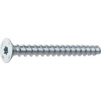 Sraigtai į betoną įleidžiama galva MULTI-MONTI-plus, 7,5 x 50 mm, TORX 40, 100 vnt