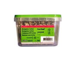 Sraigtai ESSVE CorrSeal, 4,5 x 13 mm, lauko darbams, 250 vnt.