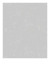 Viniliniai tapetai flizelino pagrindu NOVAMUR, 0,53 x 10 m., 6740-20