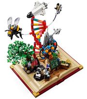 lego ideas - LEGO IDEAS The Evolution of STEM 21355 - 12 nuotrauka