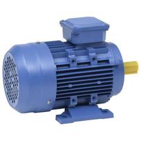 vidaXL Trifazis elektros variklis 3kW/4AG 2 polių 2840aps./min.