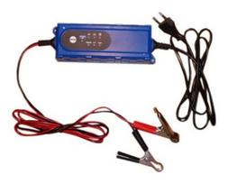 ALBURNUS, 3,8 A, 12 V, 1,2-100 Ah, automatinis