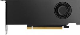 vaizdo plokstes 20 - PNY Nvidia RTX 4000 SFF Ada Generation (VCNRTX4000ADALP-PB) - 1 nuotrauka
