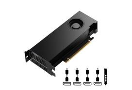 vaizdo plokstes 20 - PNY Nvidia RTX 4000 SFF Ada Generation (VCNRTX4000ADALP-PB) - 2 nuotrauka