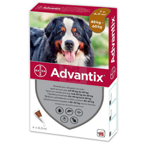 Advantix užlašinamasis tirpalas šunims nuo blusų ir erkių, 40-60 kg, 4 vnt.