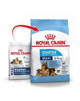 Royal Canin Maxi Starter 15 kg