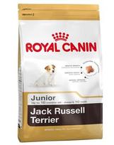 sunu maistas 10 kg - Royal Canin Jack Russell Terrier Junior 3 kg - 1 nuotrauka