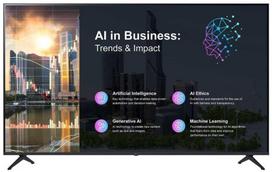 LG 75PK640S0LA