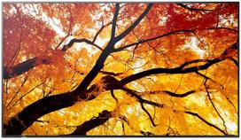 3840x2160 monitoriai - Sharp M752 - 1 nuotrauka