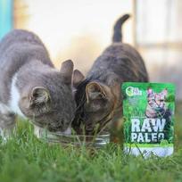 serniena - Šlapias kačių maistas Raw Paleo Vet Expert Game, jautiena/šernienos mėsa, 0.1 kg - 3 nuotrauka