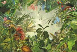Fototapetas Komar INTO WILD, 368 cm x 248 cm