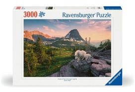 Ravensburger dėlionė - alpių ožiukas 3000 vnt