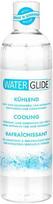 Lubrikantas Waterglide, 300ml