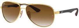 Ray-Ban RB8313 001/51