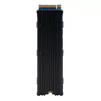 Exascend M.2 SSD 2TB PS5 su aušintuvu (With Heatsink)