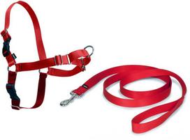 PetSafe Easy Walk pakinktai ir pavadėlio komplektas šunims raudonas (Red) XL