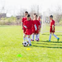 Futbolo vartai, 8x3x6 ft, Balta