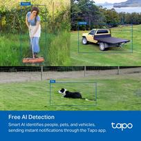 tp link tapo camera - TP-Link Tapo C501GW 4G Belaidė kamera su PTZ funkcija (Balta/White) - 5 nuotrauka
