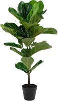 Dirbtinis augalas vazone House Nordic Fiddle Leaf Tree, žalias (Green), 100 cm