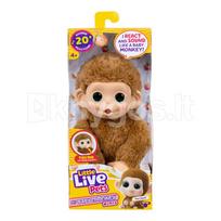 Little Live Pets interaktyvi mini beždžionėlė Pink Lemonz, 19 cm