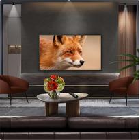 lg c5 - LG OLED48C54LA - 2 nuotrauka