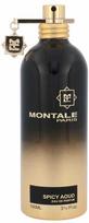 Montale Paris Spicy Aoud 100ml EDP