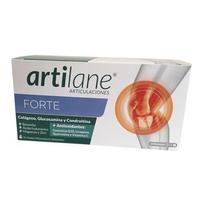  ARTILANE FORTE, skystis vienkartiniuose buteliukuose, 15 vnt.