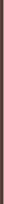 Essence Lash Without Limits (Brown) blakstienų tušas, 13 ml