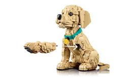 auksaspalvio retriveris - Lego Icons Golden Retriever šuniukas 11384 - 2 nuotrauka