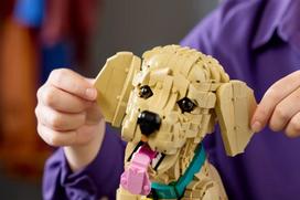 auksaspalvio retriveris - Lego Icons Golden Retriever šuniukas 11384 - 6 nuotrauka