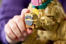 auksaspalvio retriveris - Lego Icons Golden Retriever šuniukas 11384 - 7 nuotrauka