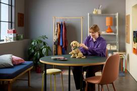 auksaspalvio retriveris - Lego Icons Golden Retriever šuniukas 11384 - 9 nuotrauka