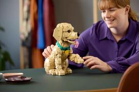 auksaspalvio retriveris - Lego Icons Golden Retriever šuniukas 11384 - 10 nuotrauka