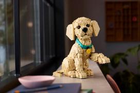 auksaspalvio retriveris - Lego Icons Golden Retriever šuniukas 11384 - 11 nuotrauka
